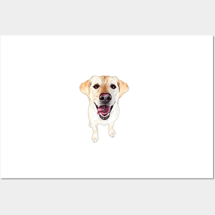 Labrador Retriever Golden Cuteness Posters and Art